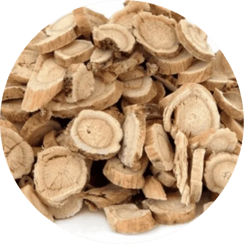Astragalus Root herbal ingredient in LipoFit formula